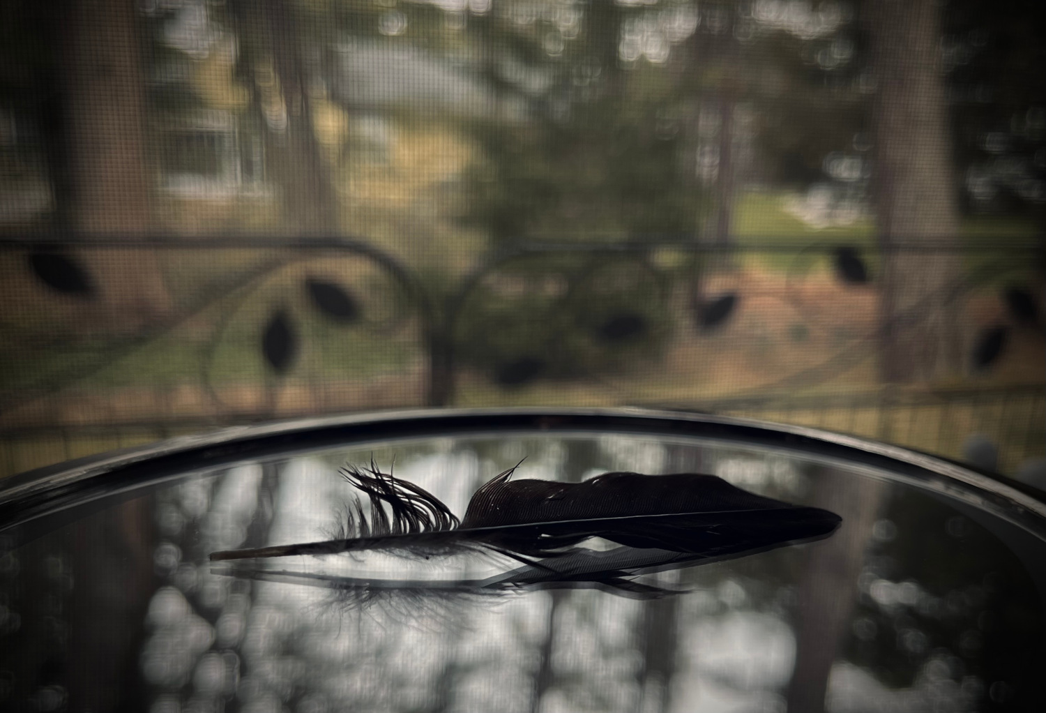A black feather on a mirror.