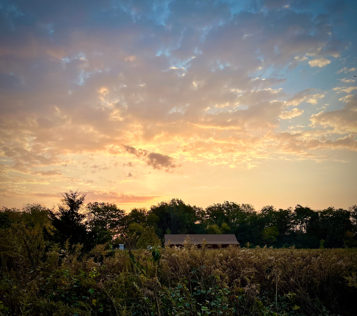 A silent sunrise over a field.