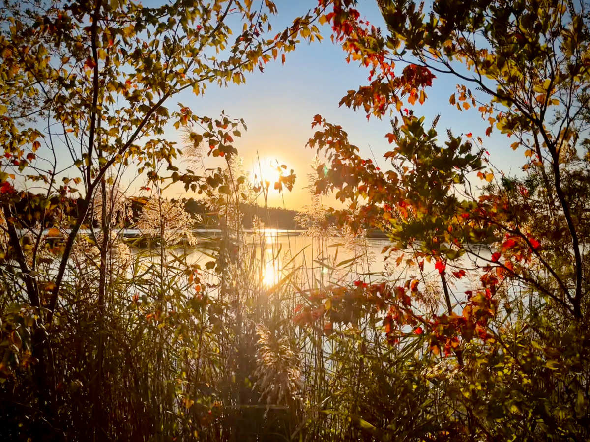 A sunset over a still lake.